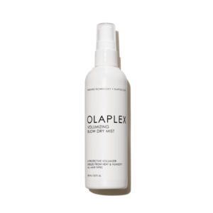 VOLUMIZING BLOW DRY MIST