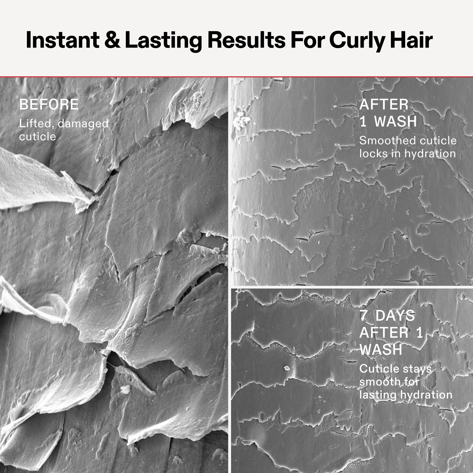 11_sem-curl_n5.jpg