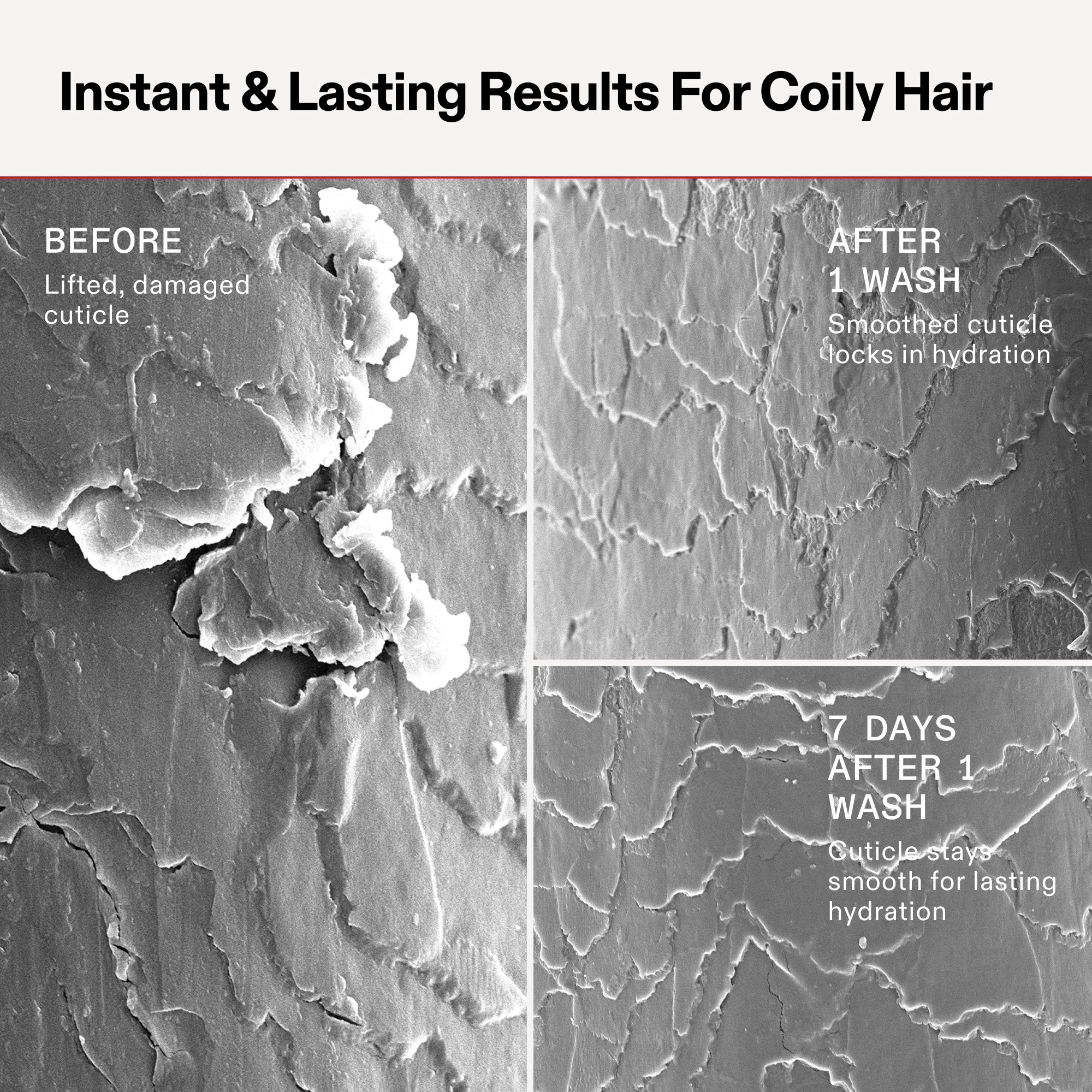 13_sem-coily_n4.jpg